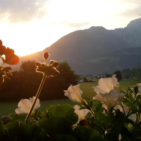Apartmán Gruensteineck